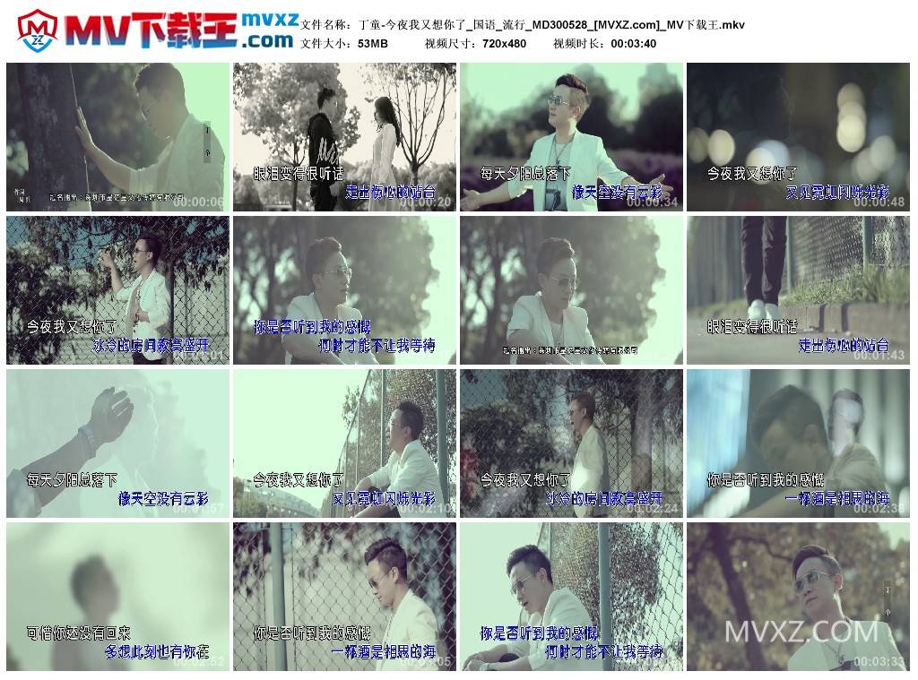 丁童-今夜我又想你了_国语_流行_MD300528
